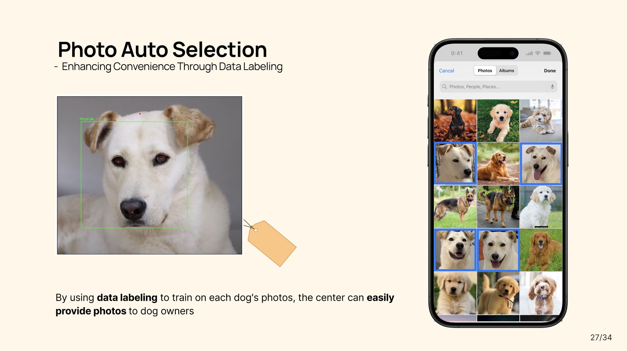 Pawsome Day Introduction